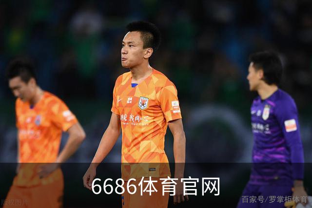 6686体育官网公司简介图片